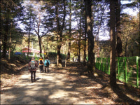 잘난 남편보다 잘난 아들이 더 낫네