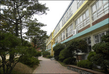 장애아동들의 호소 선생님이 무서워, 자꾸 때려