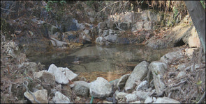 광주 삼각산의 변신, 우렁 할아버지 고마워요