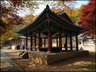 금오산이 달라졌어요, 올레길 가보셨수?