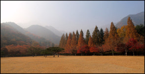 금오산이 달라졌어요, 올레길 가보셨수?
