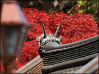 금오산이 달라졌어요, 올레길 가보셨수?