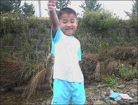 하천 정비사업하더니 물고기 다 어디갔지?