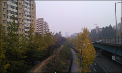 재건축? 우린 못사는 사람들과 살기 싫어
