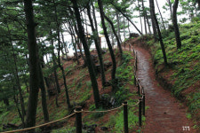 9가지 신비한 맛 가진 황토가 울릉도에 있다고?