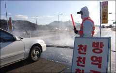 여긴 전쟁터...이러다 미국소 들어오면 큰 일살처분 농민 보상금 압류되면 줄도산 우려