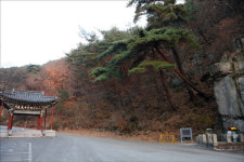 산꼭대기의 갓 쓴 돌부처, 대구 말고 또 없다