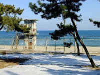 강릉 안목해변 자판기 커피, 겨울엔 죽여주지