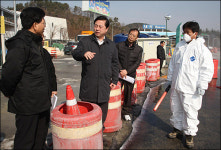 경남, 구제역 백신접종 뒤에도 폐사 등 320건 피해 발생