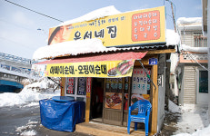 속초에서 가보지도 못한 삿포로를 외치다