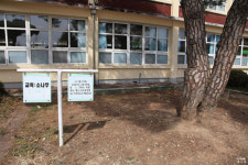 삼성-LG, 이 나무 봐서라도 싸우지 마라