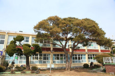 삼성-LG, 이 나무 봐서라도 싸우지 마라