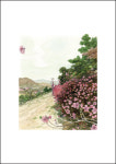 박재동 화백 2억 원어치 그림, 그냥 내놓습니다