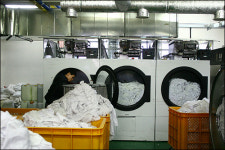 한 달 월급 5만원, 핸드폰비도 안 나와요