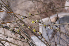 여자 혼자 걷는 길, 어쩌다가 차가 멈추면...