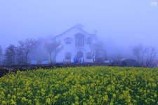 이 길이 <서편제>의 그 길이구나!