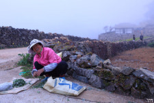 이 길이 <서편제>의 그 길이구나!