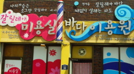 음식점에도, 정미소에도 정지용 시가 펄펄