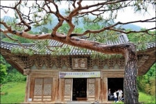 문살에 피어난 화엄, 그 위대한 창의력