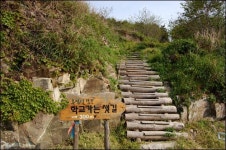 소라, 미역, 톳... 바다 냄새 풀풀 나는 예초리포구