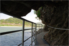 아픔 살피신 ○○○ 대통령, 비석치기 당했네