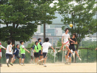 월드컵보다 재밌는 축구대회, 구경하실래요?