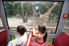 기린과 인사했을 뿐인데...아이들이 변했어요