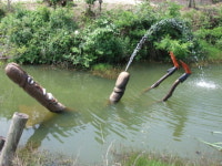 저게 어떻게 사자로 보여? 이구아나지