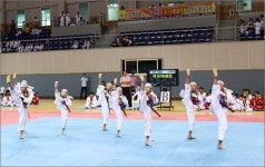 <오마이뉴스> 주최 태권도품새대회 성황...태권인 축제마당 돼