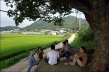 떠난 남편 어이할꼬...바위엔 여인의 한숨만이