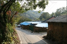 보리밥 한 그릇 뚝딱, 이 맛에 산에 온다