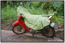 기사 엉덩이 보면 운전 경력 나온다고?