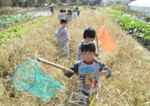 무서워 하던 아이들도 이제는 덥석 잡아요