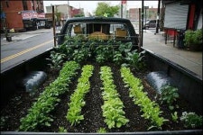 빤타스틱 농사꾼이 두물머리로 간 까닭은?