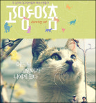 고양이가 사람을 보고 도망가는 나라는 한국뿐