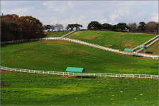원산지 속인 막걸리, 청와대 납품... 여깁니다