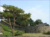 여든둘 어머니 팔도유람, 요참에 해뿌렸다