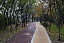 채울 수 없는 그리움 따라 자전거에 몸을 맡기다