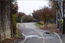 채울 수 없는 그리움 따라 자전거에 몸을 맡기다