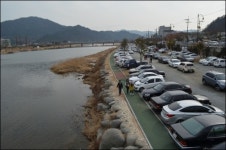 전남 장흥 토요시장, 왜 유명한지 가봤더니