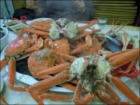 동해대게와 서해꽃게, 어느 게 더 맛있을까