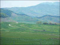 초원위의 소 울음, 우렁차기도 하다