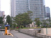 소나무 가로수... 이건 나무 학대입니다!