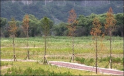 낙동강, 곳곳 침식-재퇴적...생태공원 이용객 거의 없어