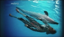 <동물농장>은 왜 이렇게 맨날 사람을 울려요?