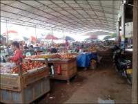 야시장 바지 입고 결혼식에 간 사연