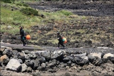 도시의 죽집과는 비교 거부... 진짜 제주 전복죽집