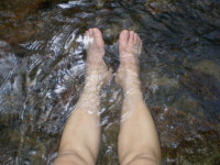 자작나무 숲에서 힐링캠프를 즐기다