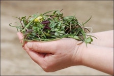 바람난 이 여자, 틈만 나면 숲으로 달려가서...