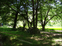 숲이 바깥세상 차단... 일본경찰도, 빨치산도 지나쳤다